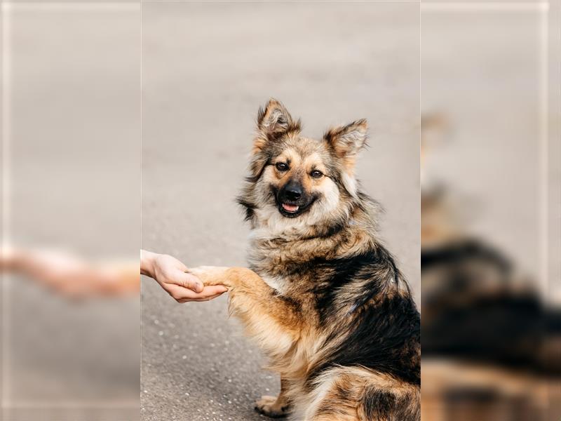 Freundlicher Teyla sucht ihre Menschen