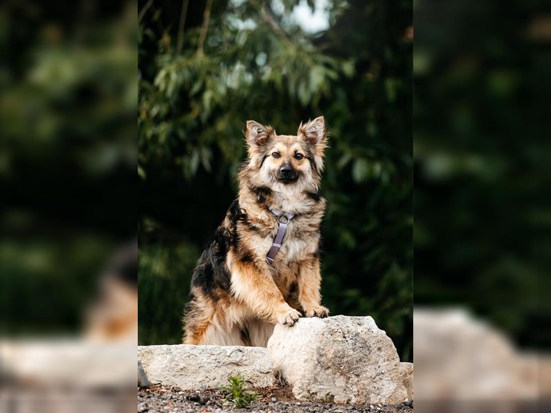 Freundlicher Teyla sucht ihre Menschen