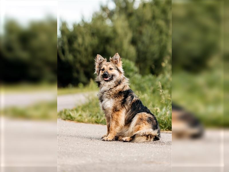 Freundlicher Teyla sucht ihre Menschen