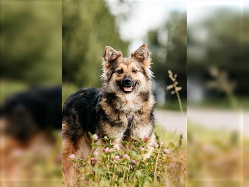 Freundlicher Teyla sucht ihre Menschen