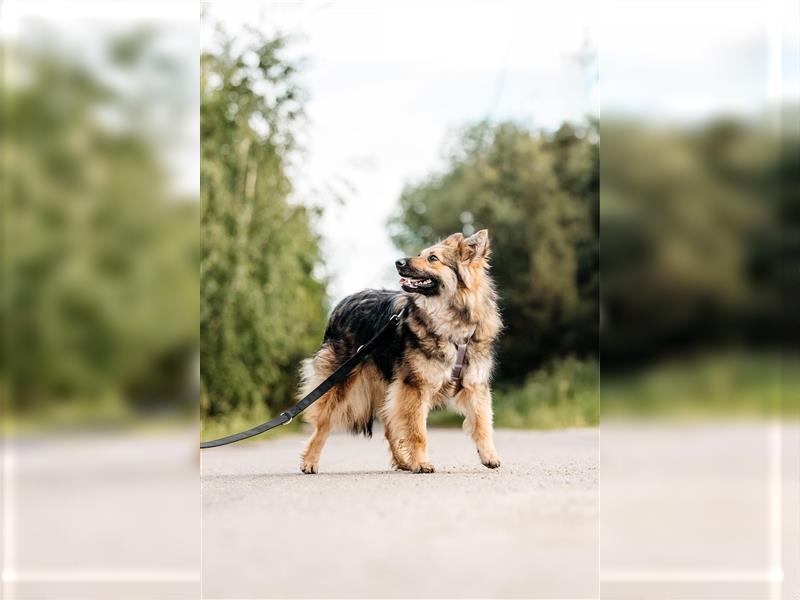 Freundlicher Teyla sucht ihre Menschen