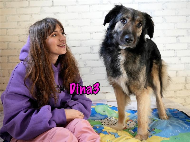 Dina3 11/2020 (RUS) - ruhige und zarte Seele mit großem Herz wünscht sich Familie!