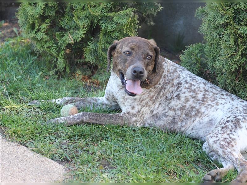 Stella  sucht noch ihren Traumplatz