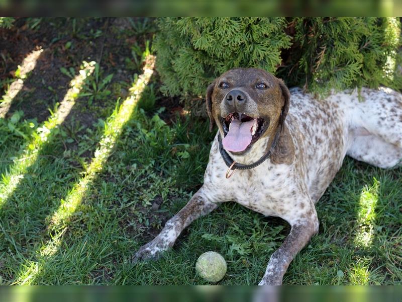 Stella  sucht noch ihren Traumplatz