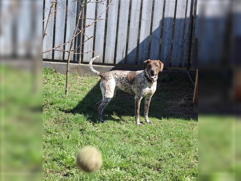 Stella  sucht noch ihren Traumplatz