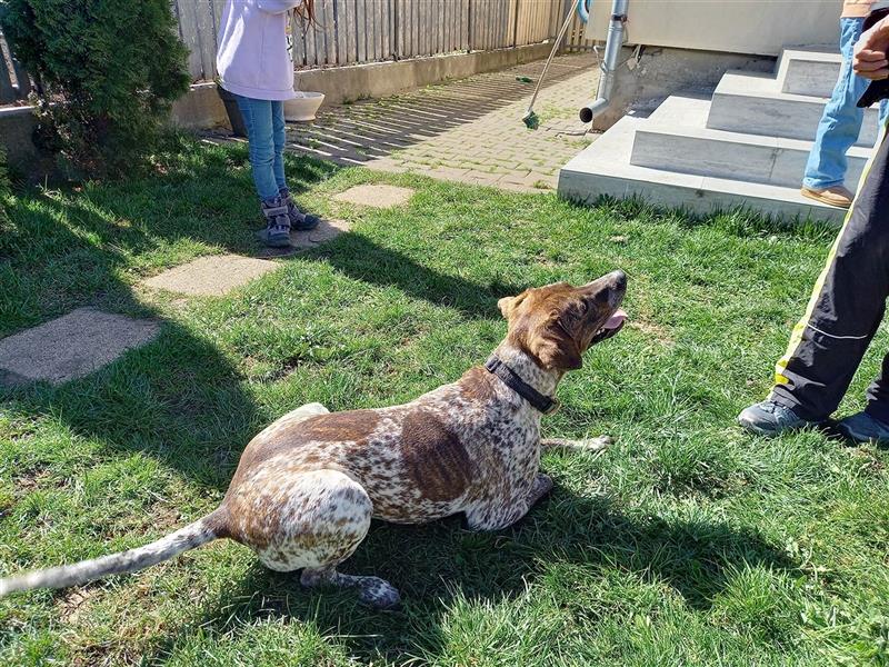 Stella  sucht noch ihren Traumplatz