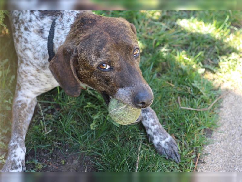 Stella  sucht noch ihren Traumplatz