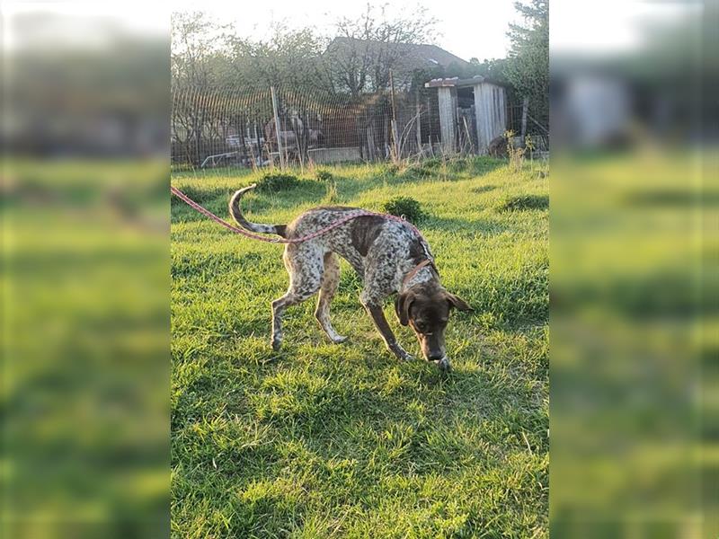 Stella  sucht noch ihren Traumplatz