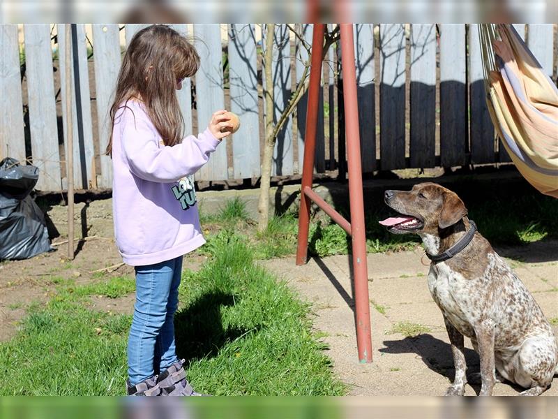 Stella  sucht noch ihren Traumplatz