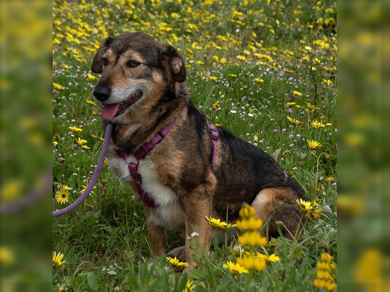 Emily sucht nach Geborgenheit