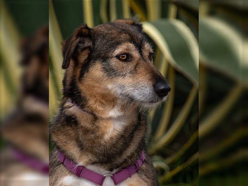 Emily sucht nach Geborgenheit