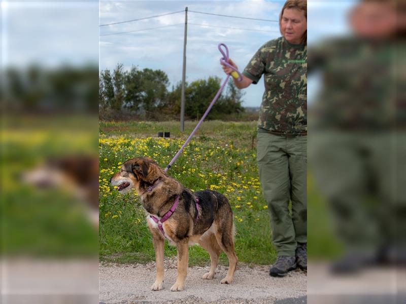 Emily sucht nach Geborgenheit