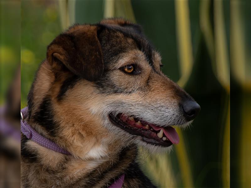 Emily sucht nach Geborgenheit