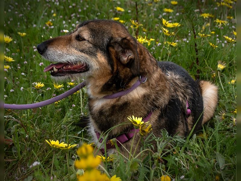 Emily sucht nach Geborgenheit