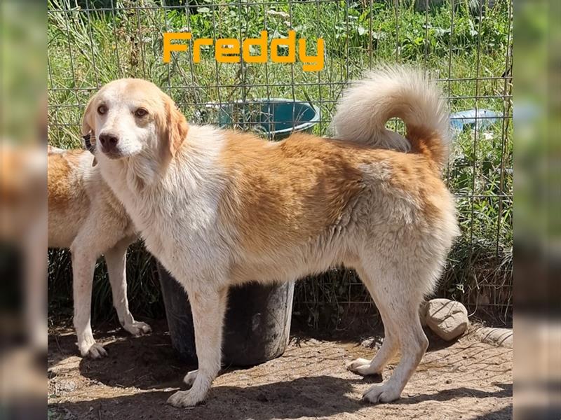 Freddy & Frieda - freundliche Geschwister