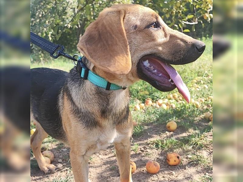 Mädchen Lucy sucht ihr Für-Immer-Körbchen ❤️