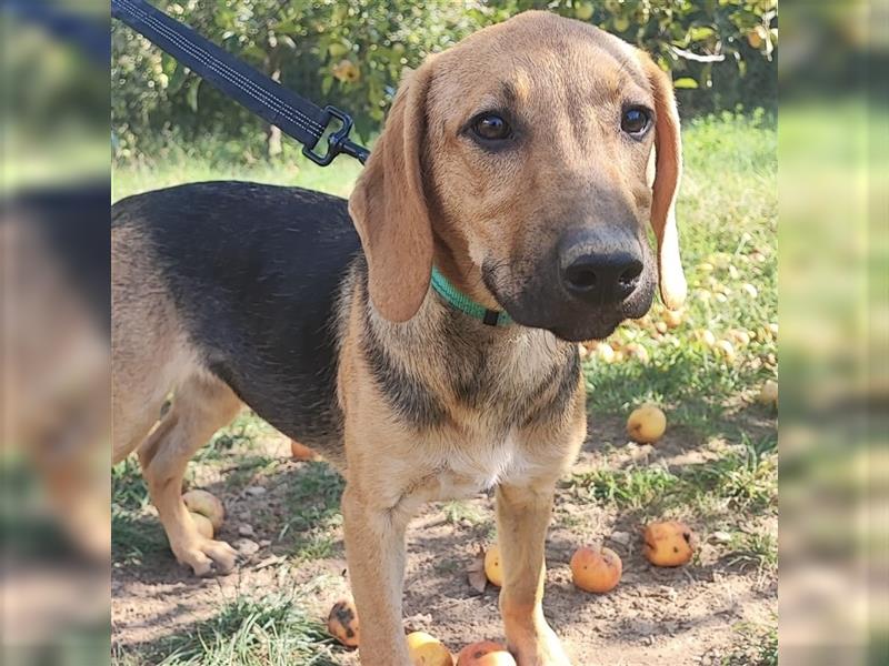 Mädchen Lucy sucht ihr Für-Immer-Körbchen ❤️