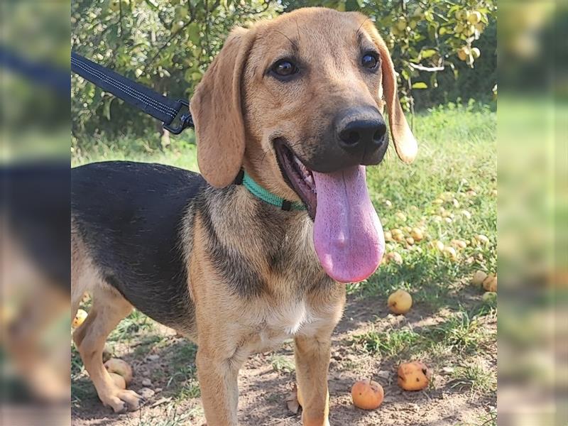 Mädchen Lucy sucht ihr Für-Immer-Körbchen ❤️