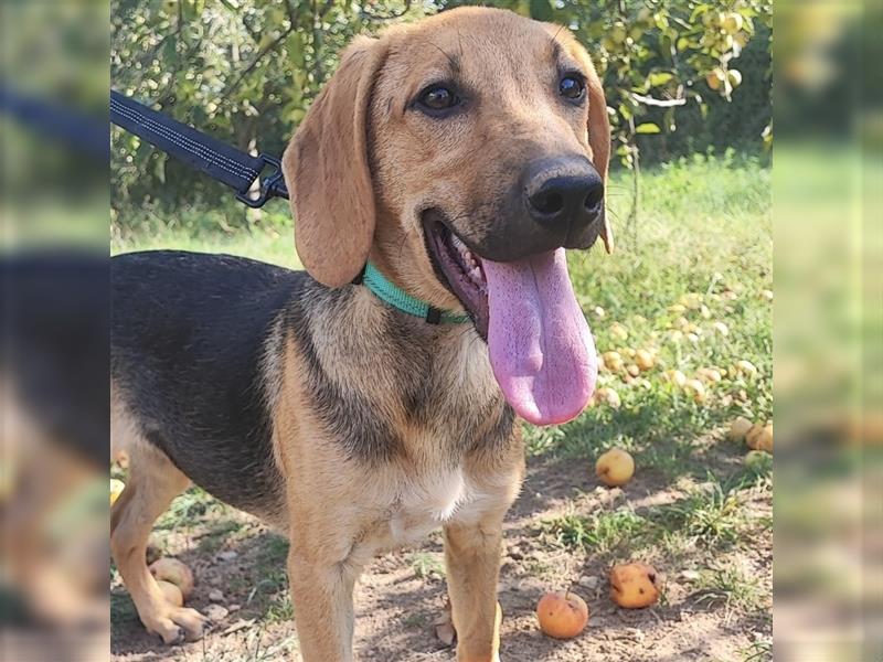 Mädchen Lucy sucht ihr Für-Immer-Körbchen ❤️