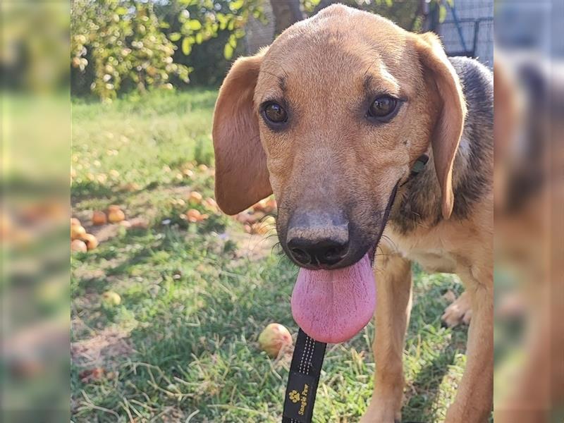 Mädchen Lucy sucht ihr Für-Immer-Körbchen ❤️