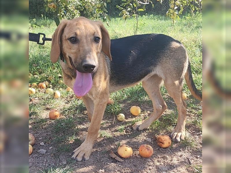 Mädchen Lucy sucht ihr Für-Immer-Körbchen ❤️