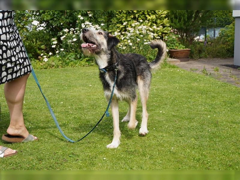 Jungspund Joshi, 1 Jahr, ungeschliffener Rohdiamant