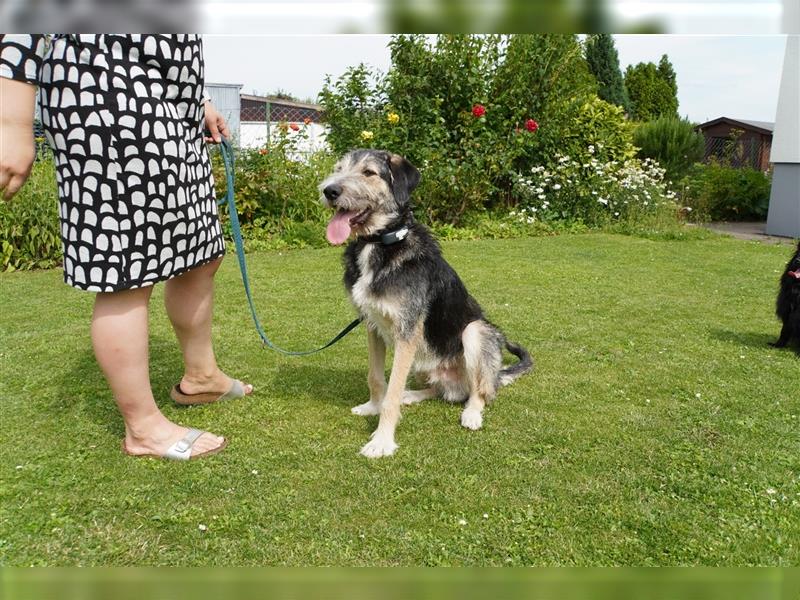 Jungspund Joshi, 1 Jahr, ungeschliffener Rohdiamant