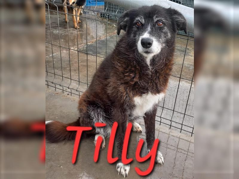 Unser lieber Tilly