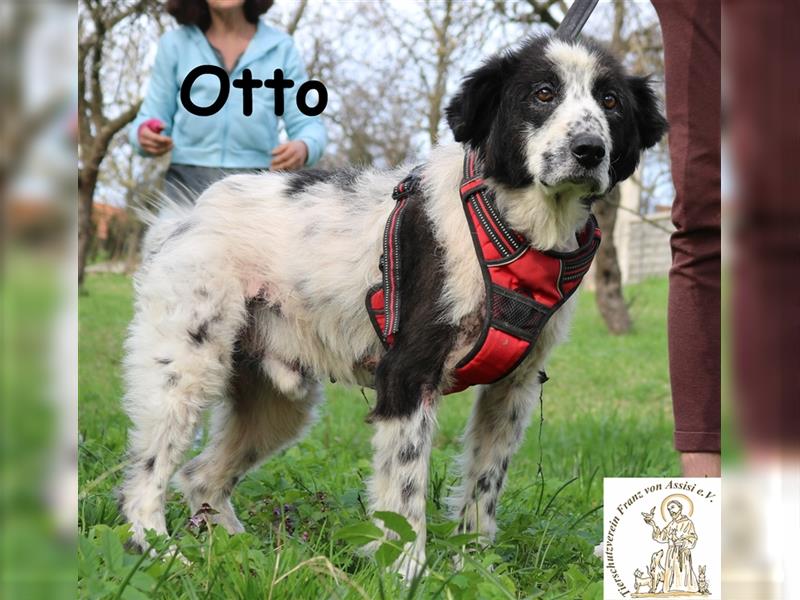 Otto - der Opi der noch lange nicht aufgibt