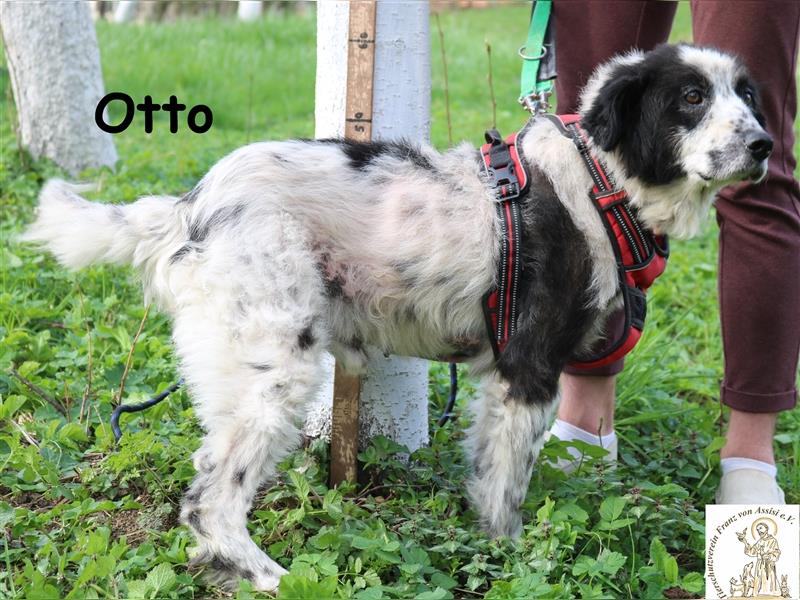Otto - der Opi der noch lange nicht aufgibt