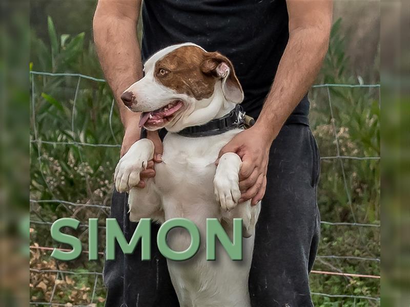 Simon, ein ganz lieber Junge!
