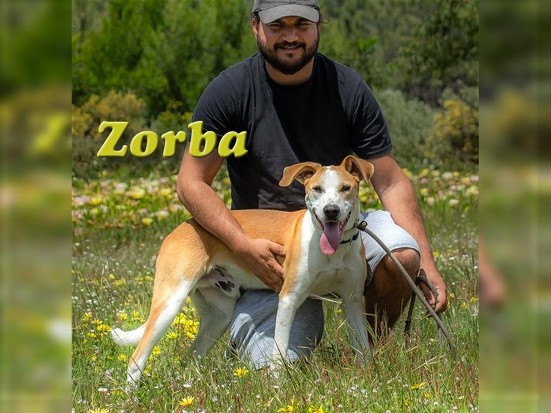 Zorba, geht mit Ihnen durch dick und dünn!