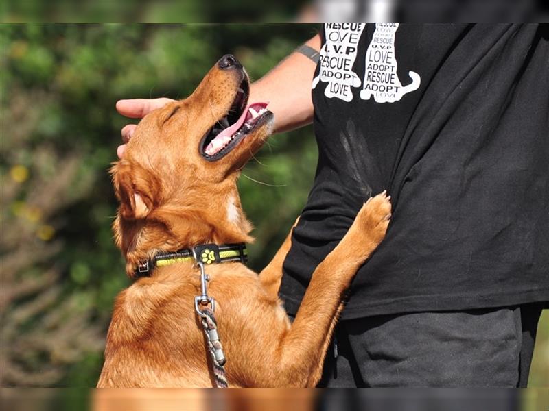 Borko S218 ist ein echter Spaßvogel