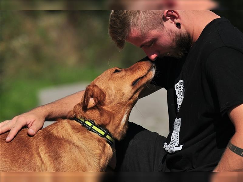 Borko S218 ist ein echter Spaßvogel