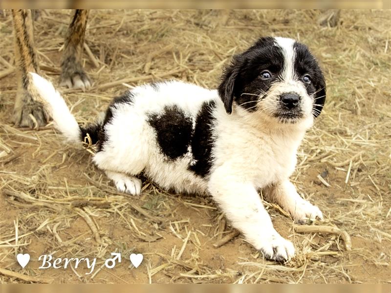 Cherrie und Terry suchen ab Mitte Juli ein Zuhause