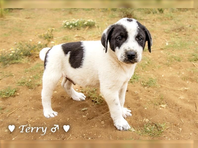 Cherrie und Terry suchen ab Mitte Juli ein Zuhause