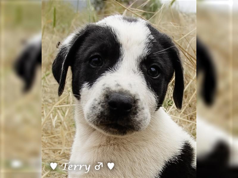 Cherrie und Terry suchen ab Mitte Juli ein Zuhause