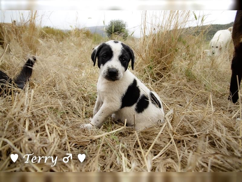 Cherrie und Terry suchen ab Mitte Juli ein Zuhause