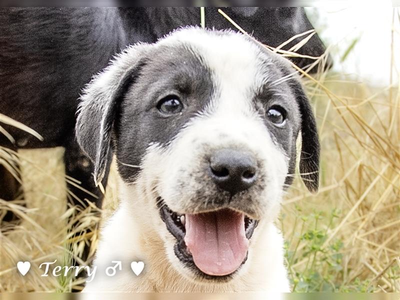 Cherrie und Terry suchen ab Mitte Juli ein Zuhause