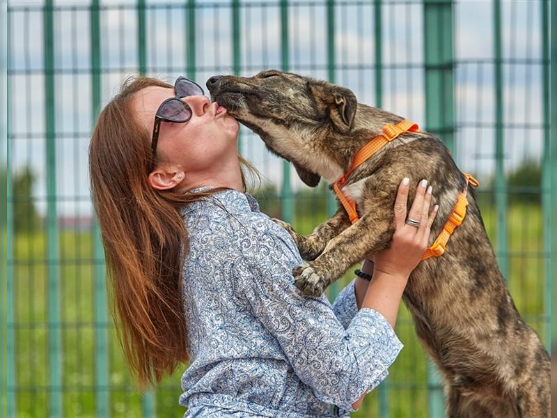 KUPER mit “Tigerstreifen” sucht ein schönes Zuhause