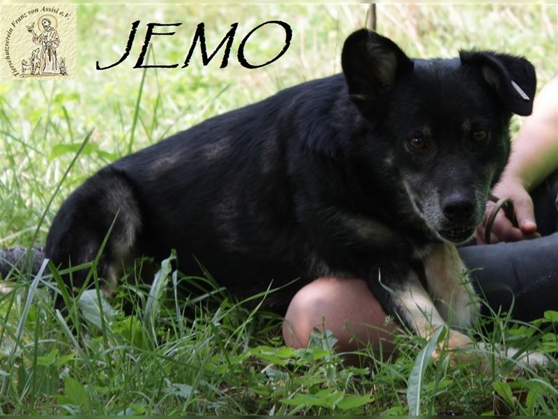 Der liebevolle, schüchterne Jemo
