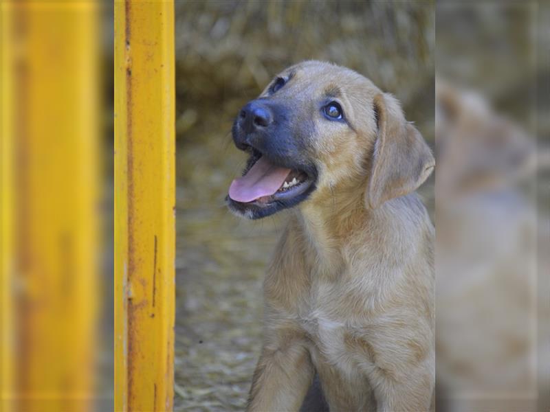 FELIA – Kleine Finca-Prinzessin sucht ihr Königreich