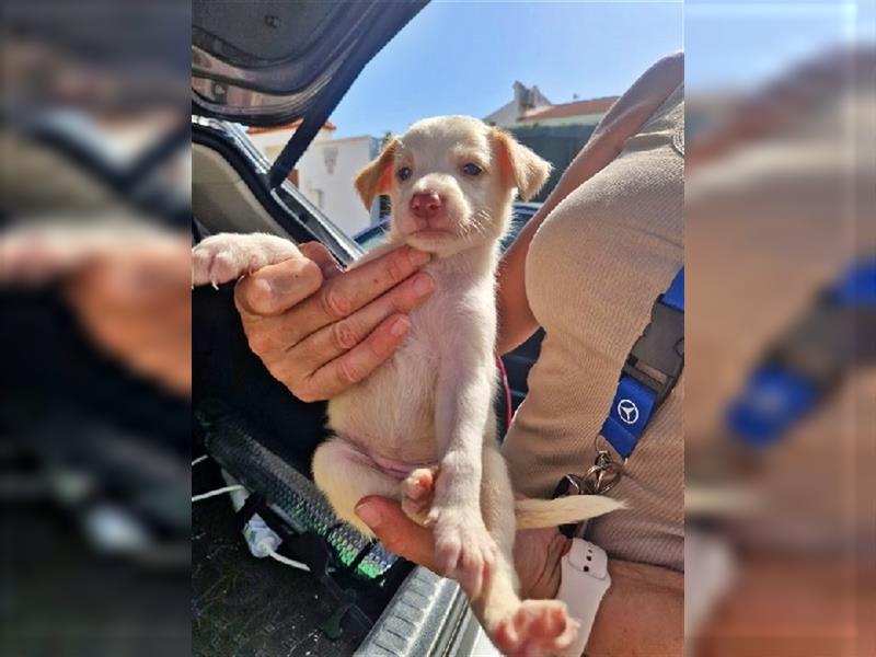 Soley, mit Ihrer Schwester und Mama einfach auf dem Müll entsorgt