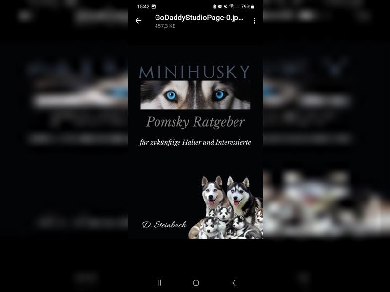 Pomsky Minihusky Buch