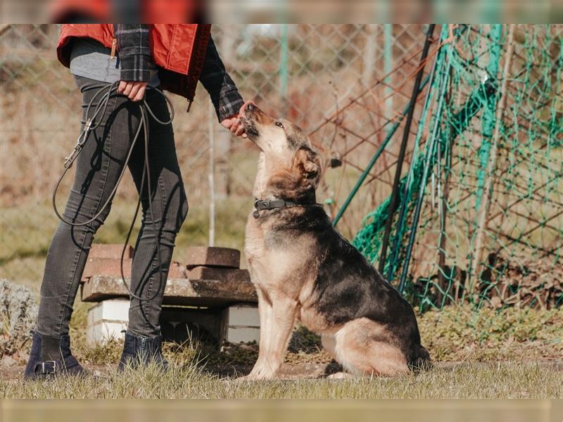 Freundliche Senta sucht geduldige Menschen