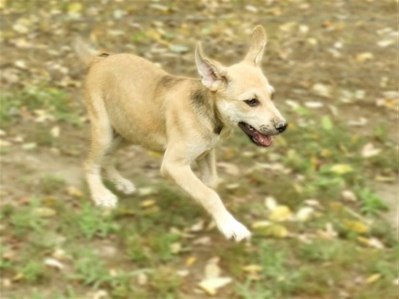 Mara-LM, kleine Entdeckerin sucht ihre Menschen