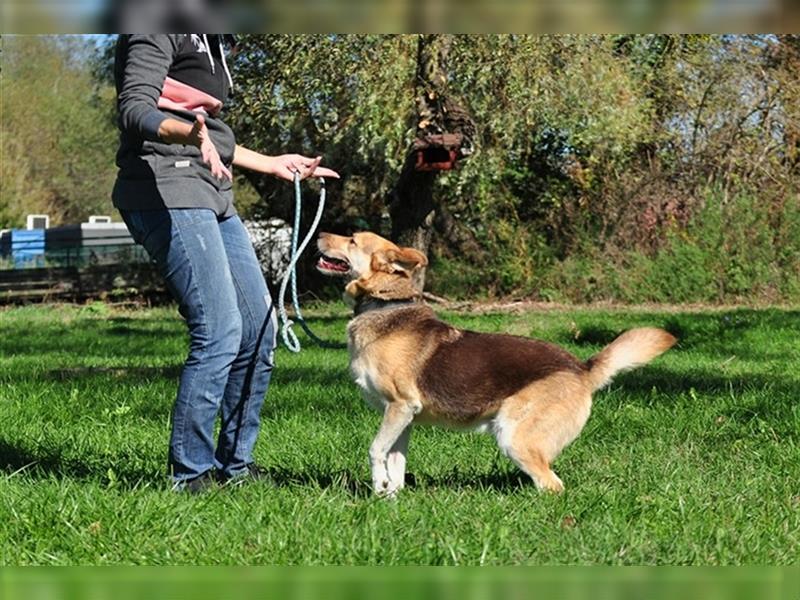 Fabio sucht Spaß und Aktivität