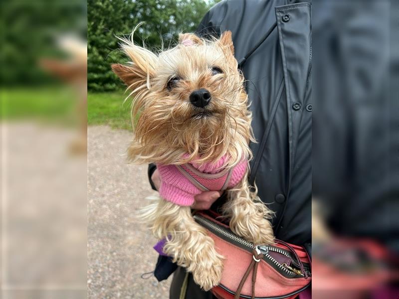 Fiona, sucht dringend ein ruhiges Plätzchen